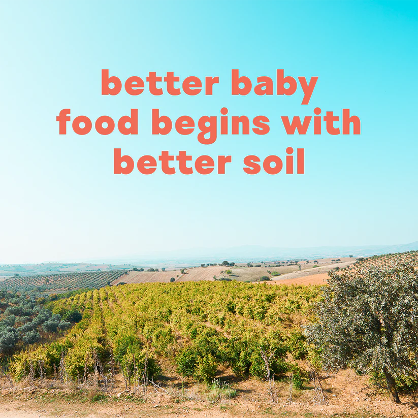 Squash, Apple, Banana & Pumpkin