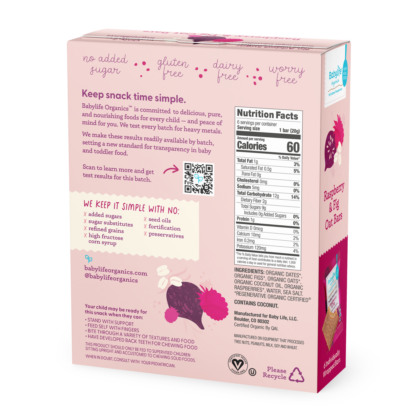 Raspberry Fig & Oat Snack Bars